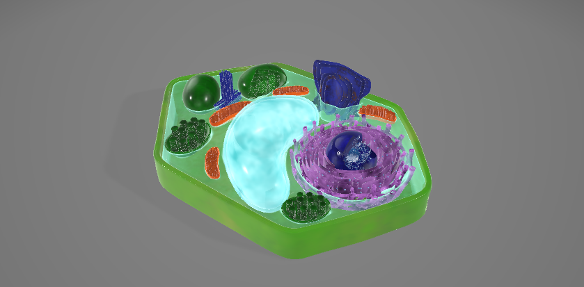 Cells Page